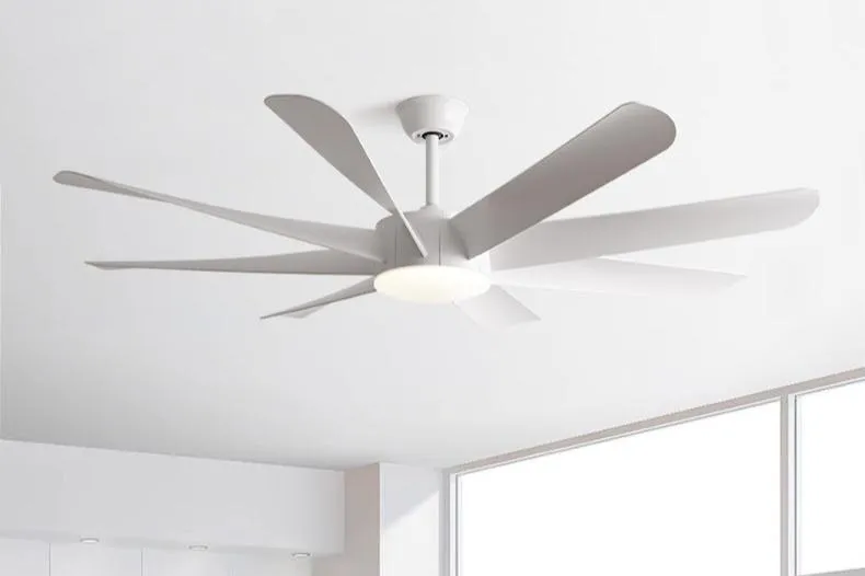 Ambrose | Lighted Ceiling Fan