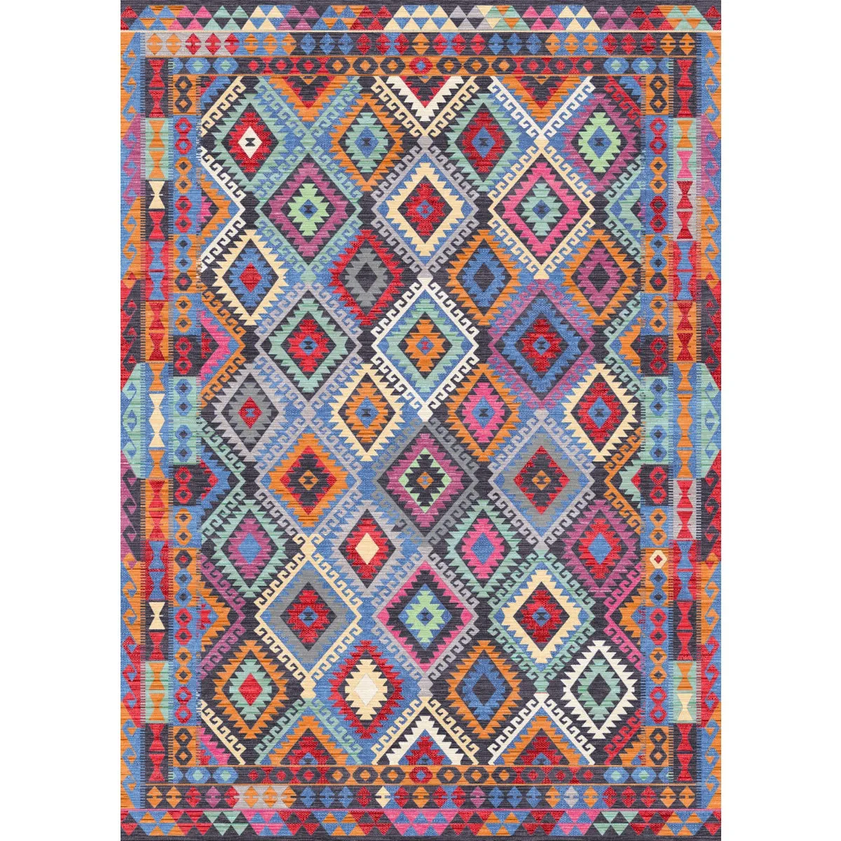 Assania Multi Color Rug