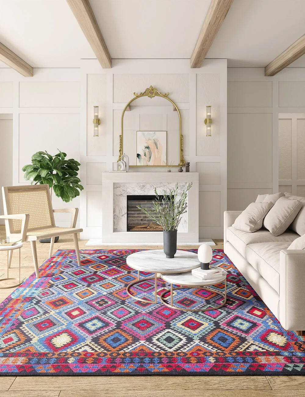 Assania Multi Color Rug