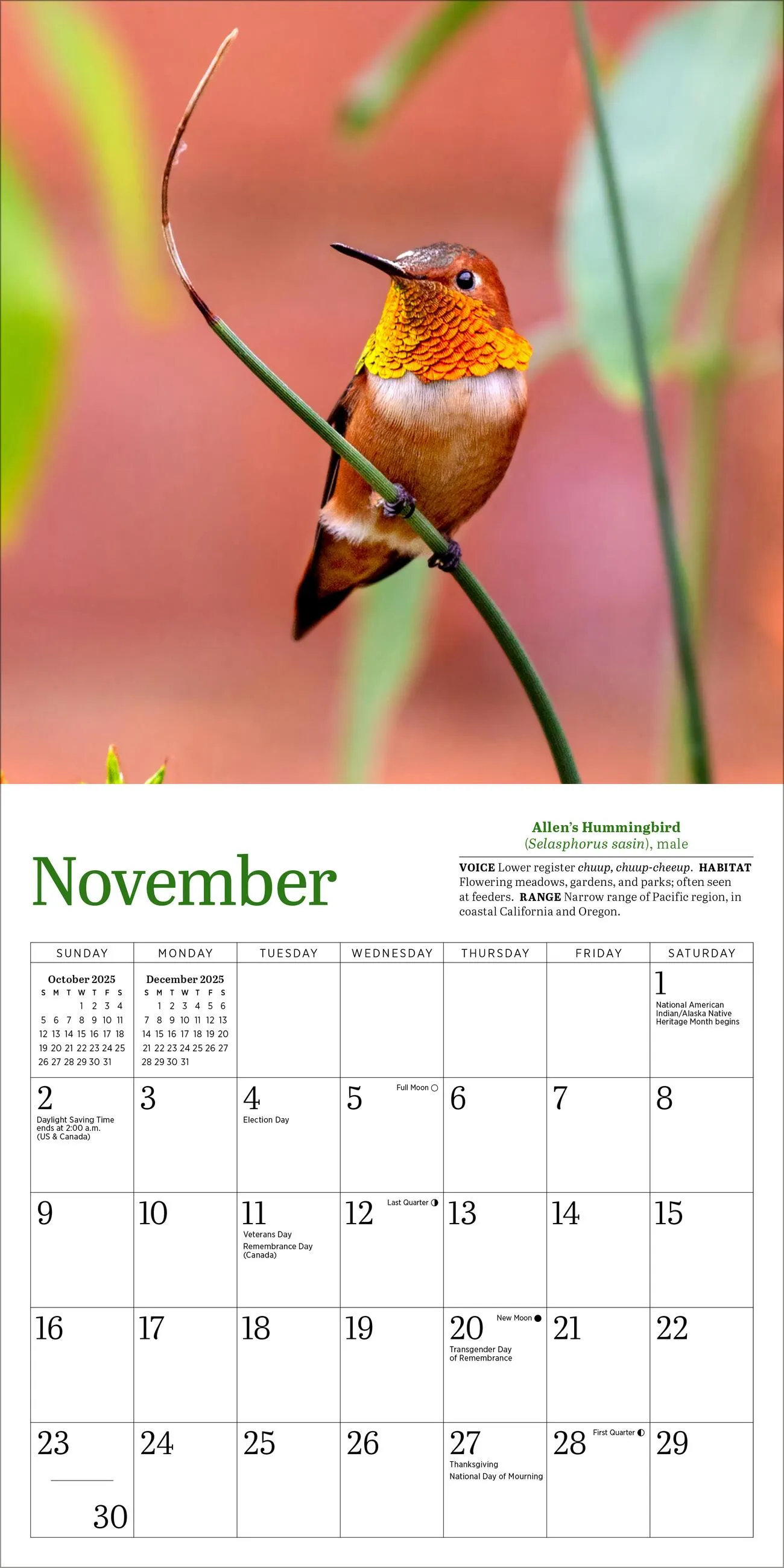 Audubon Hummingbirds 2025 Mini Wall Calendar