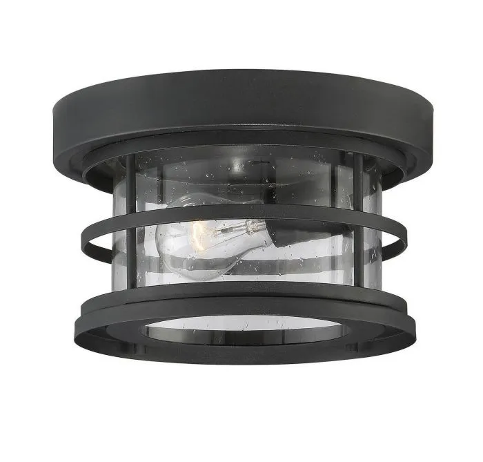 Barrett 10" Outdoor Ceiling Light