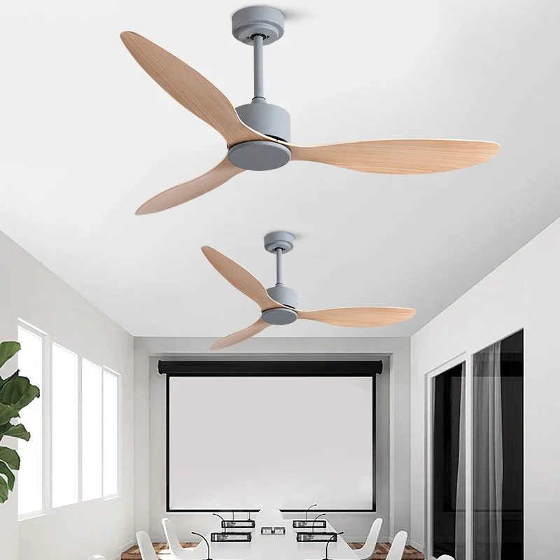 Ceiling Fans