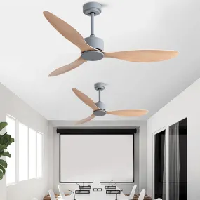 Ceiling Fans