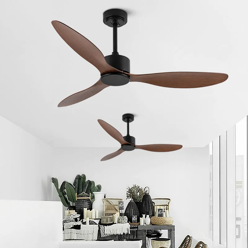 Ceiling Fans