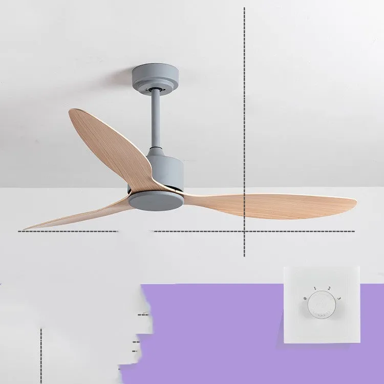 Ceiling Fans