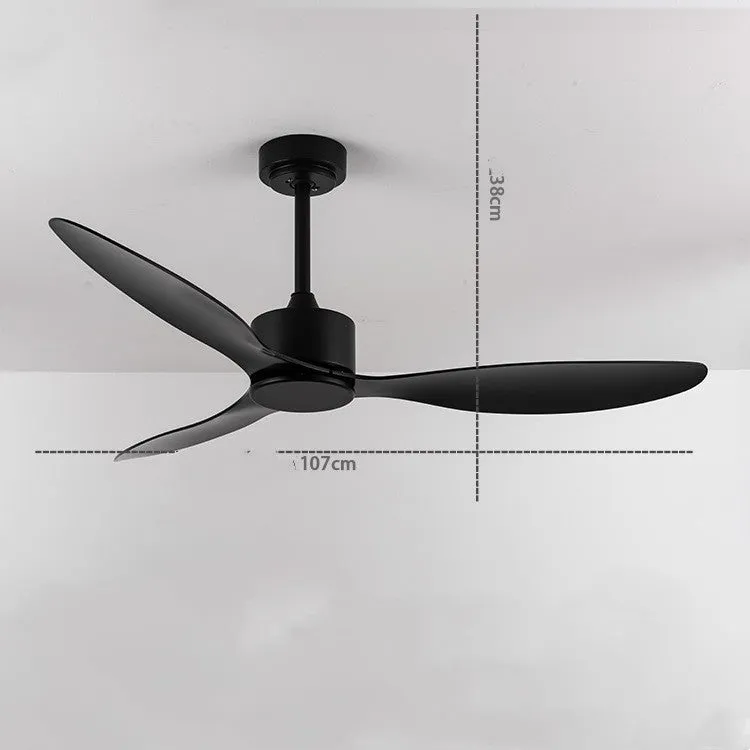 Ceiling Fans