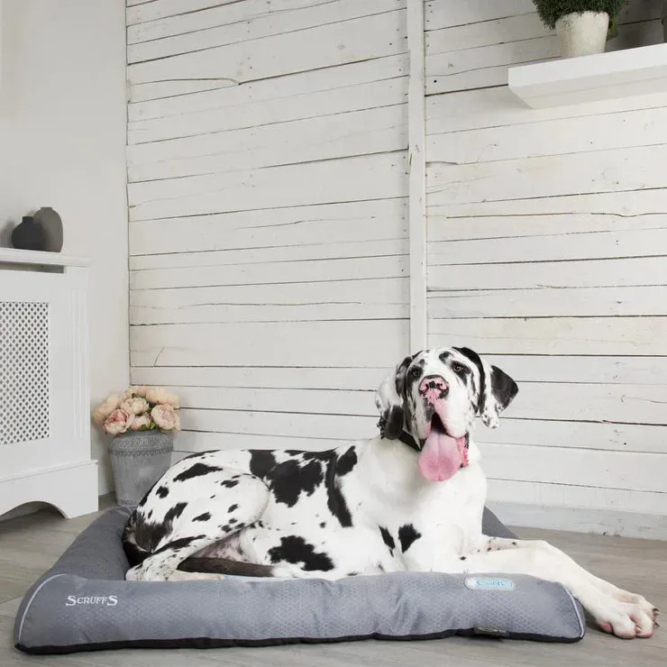 Cool Dog Bed - Grey