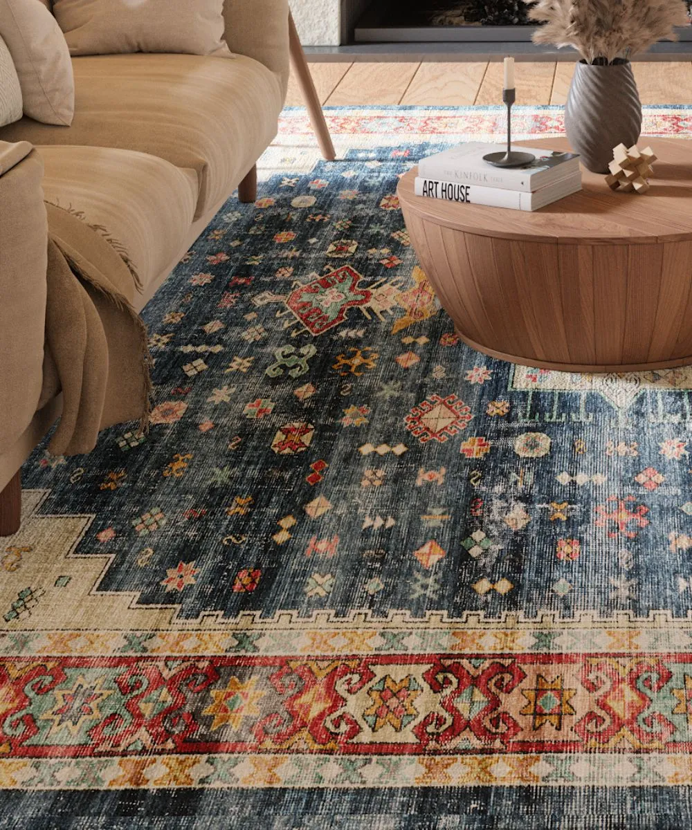 Dilara Multi Color Red Blue Rug