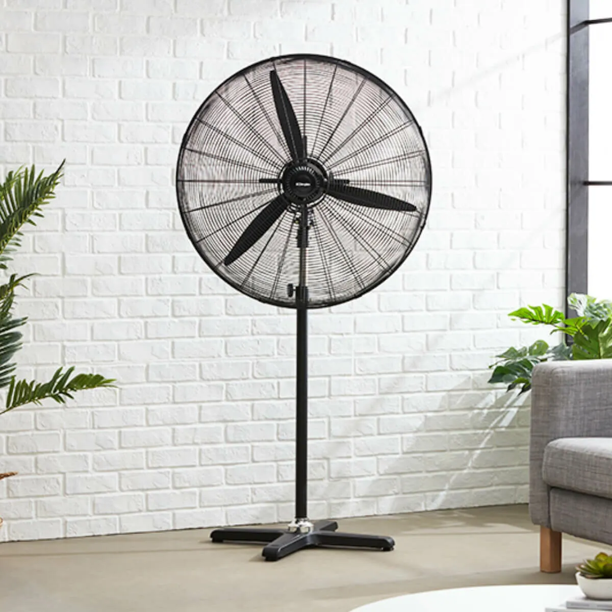 Dimplex 75cm High Velocity Pedestal Fan DCPF75MB