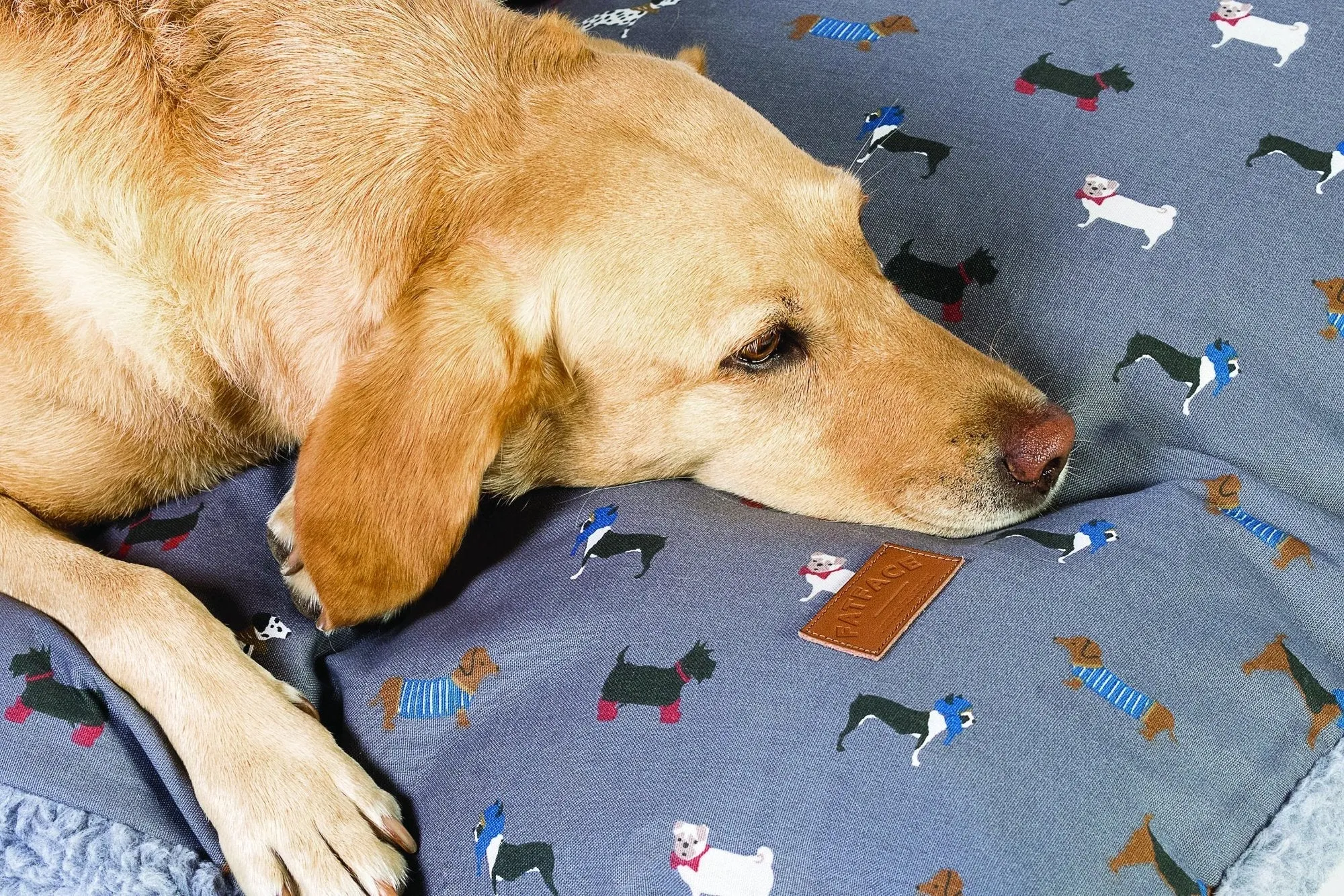 FatFace Marching Dogs Deep Duvet Dog Bed