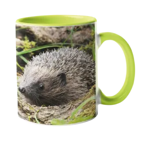 Hedgehog Garden Mug