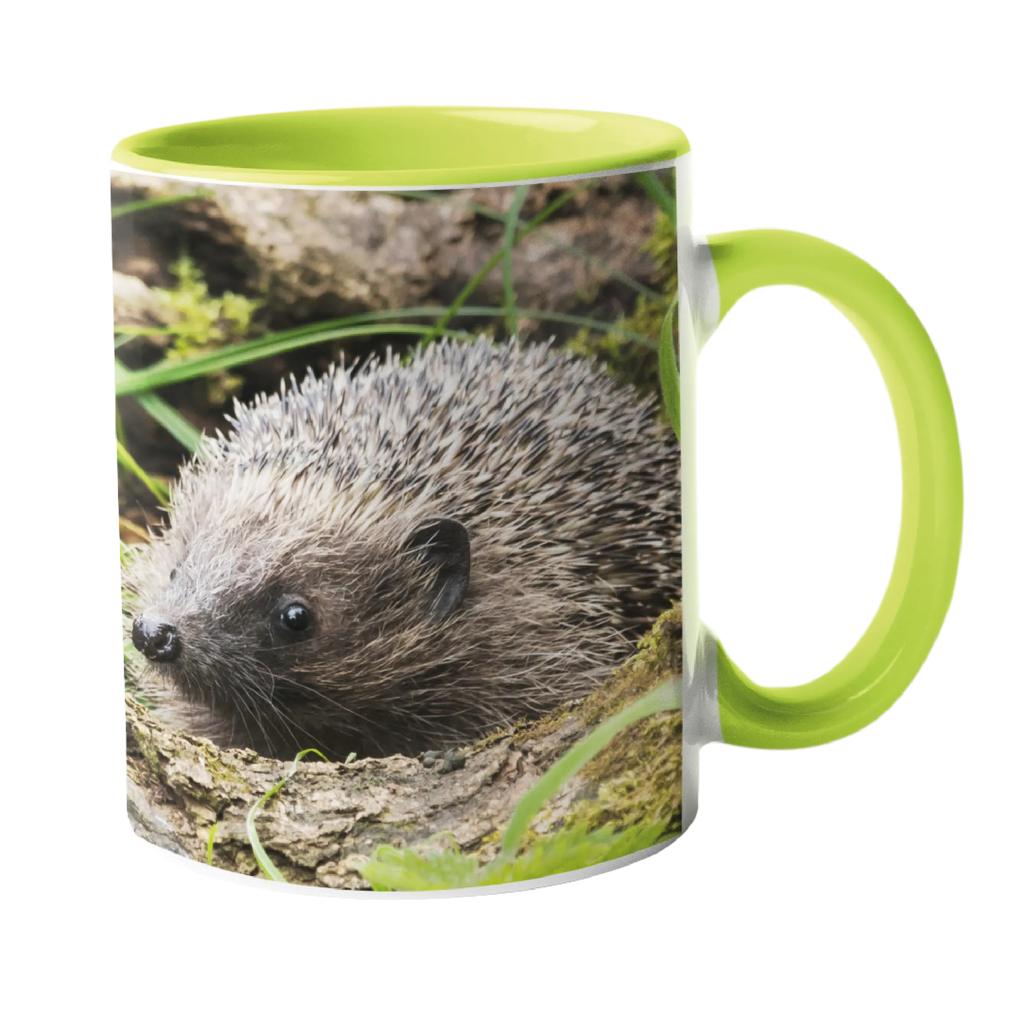 Hedgehog Garden Mug