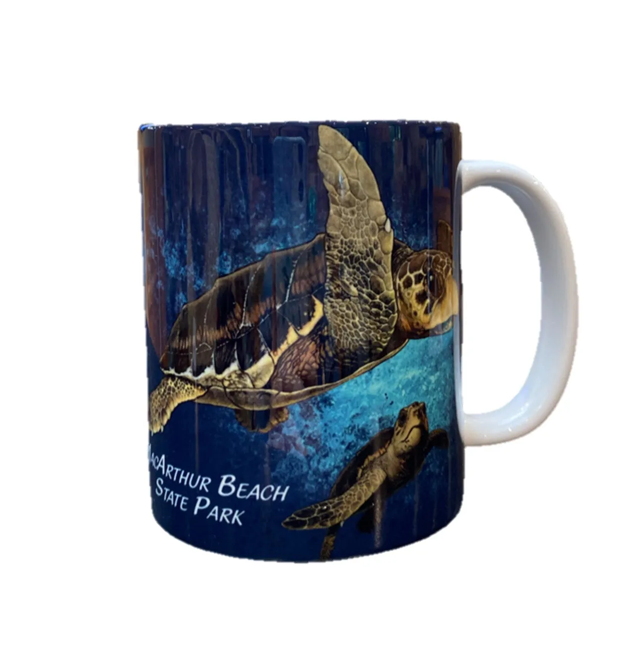 Loggerhead Turtles Mug