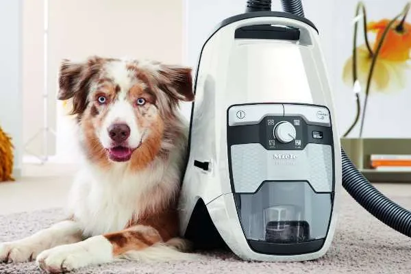 Miele CX-1 Blizzard - Cat & Dog