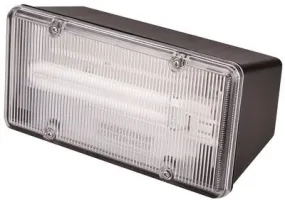 Monument Wall- Or Ceiling-Mounted Fluorescent Commercial Floodlight Black 1 13-Watt Pl Lamp (Included)