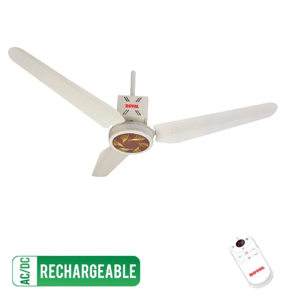 Passion Eagle - ACDC Rechargeable Ceiling Fan