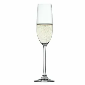 Salute Champagne Glass 7.4oz