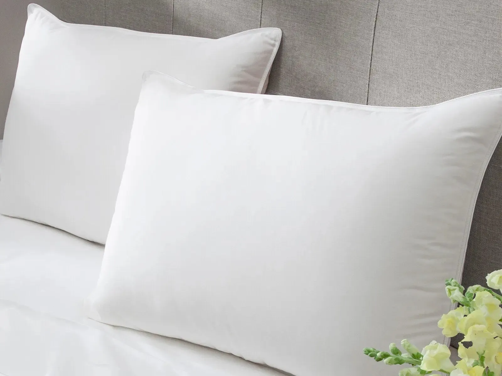 Stearns & Foster Down Pillow