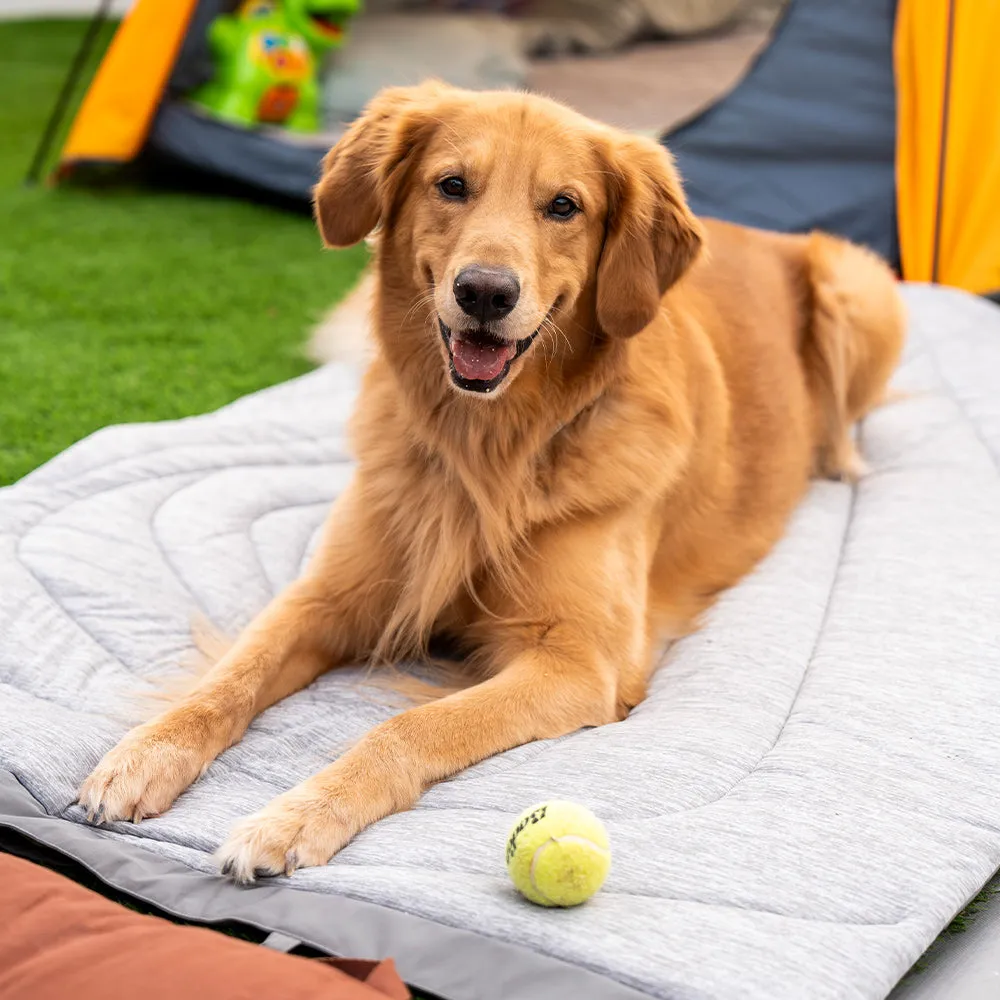 Z-Magic Pet Cooling Mat